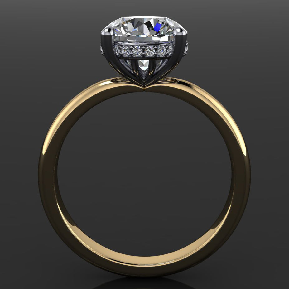 ryley ring - lab grown diamond engagement ring with a side halo, side view