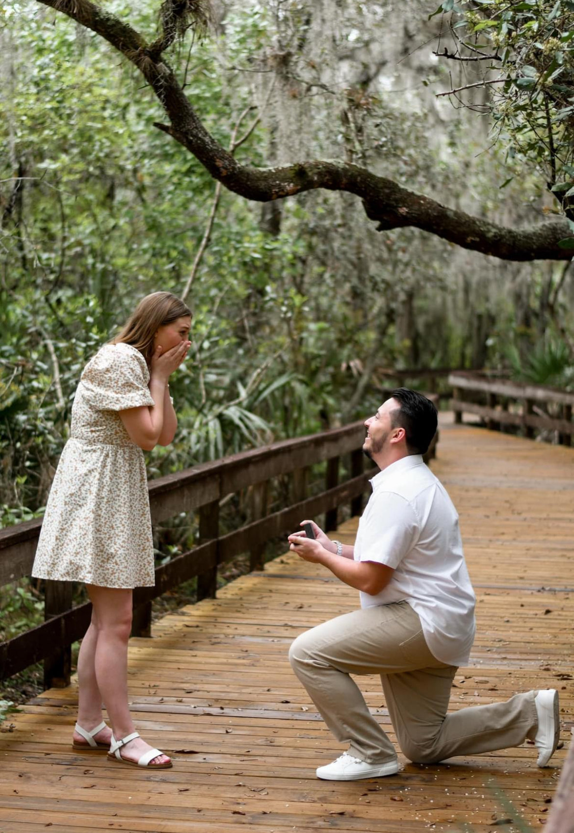 Couple on a wooden walkway in the woods, man proposing to her down on one knee