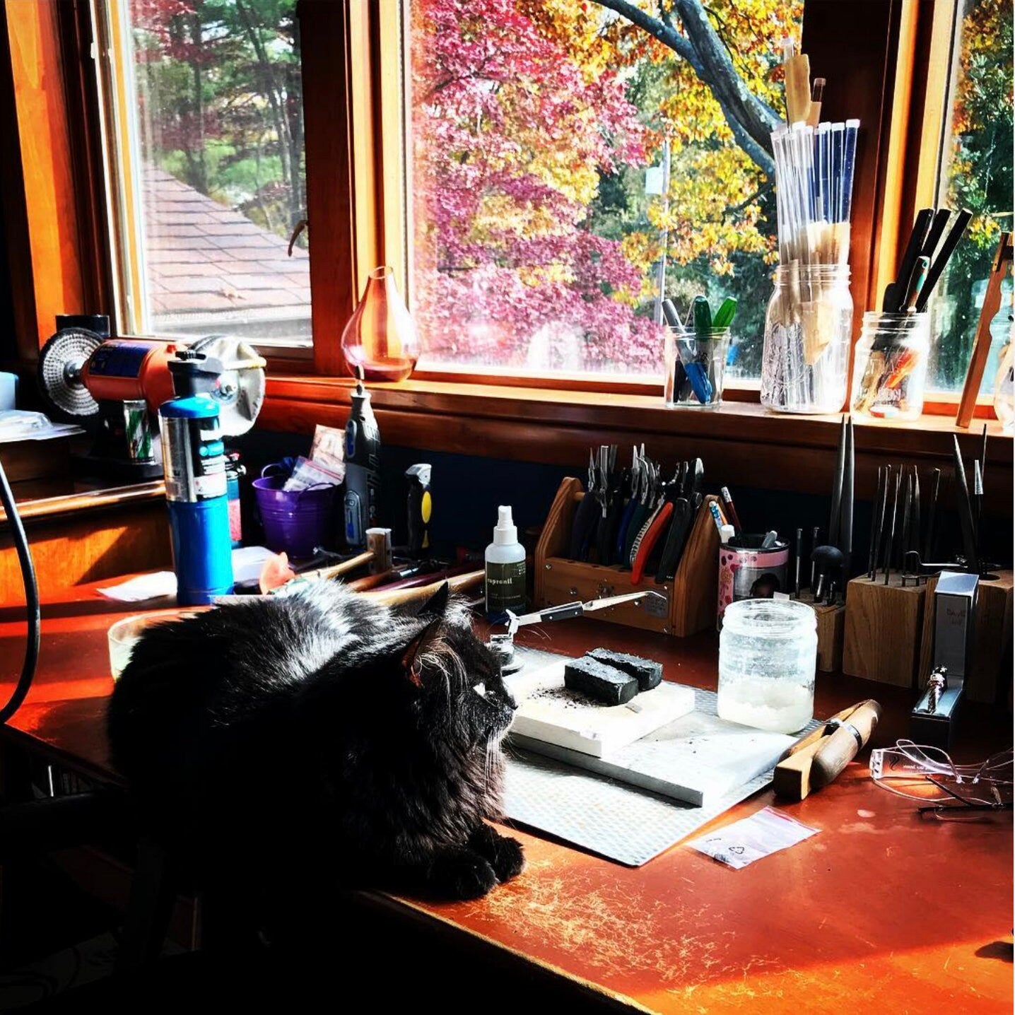 jewelers bench with kitty