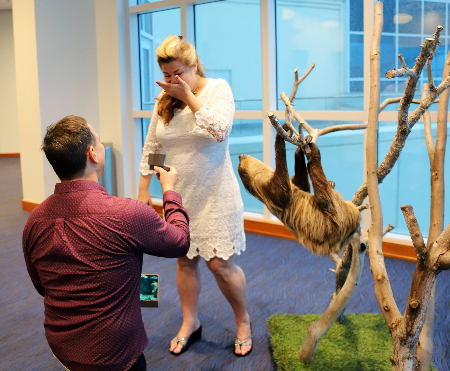 Proposal photo with a sloth looking on.