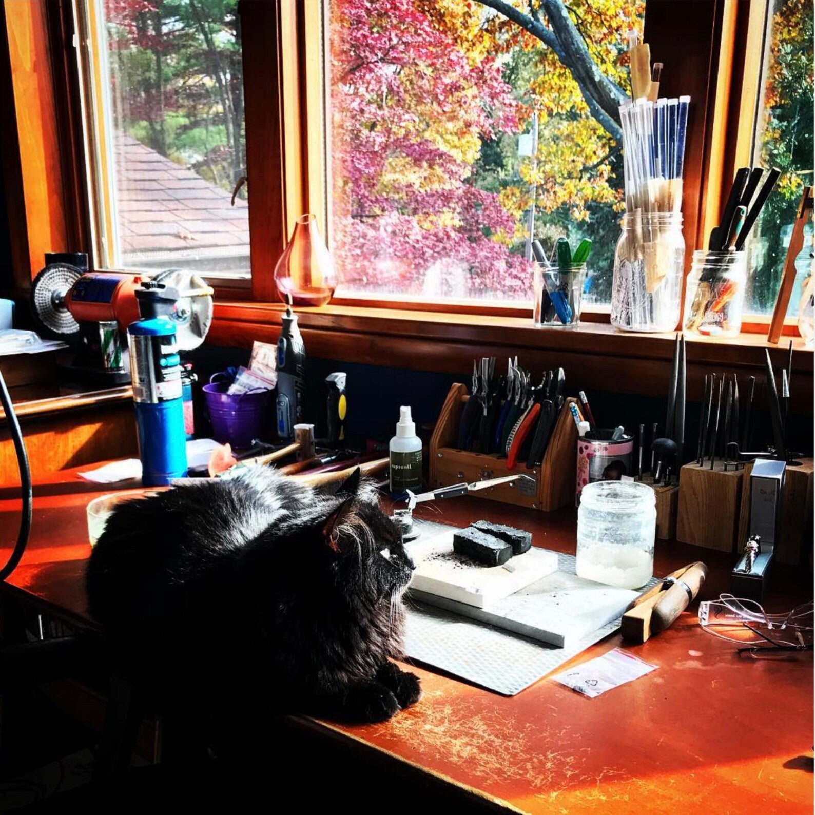jewelers bench with our feline employee of the month posing on top - J Hollywood Designs